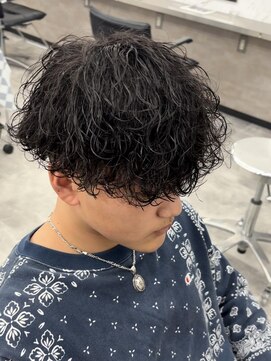 オム ブランシェ(HOMME BLANCHE’) 【Natski】メンズ波巻きツイスパMIX