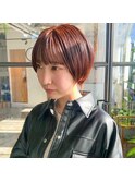 ゲストスナップ