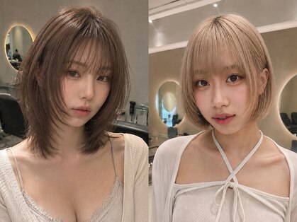 シラフ(SHIRAF)の写真