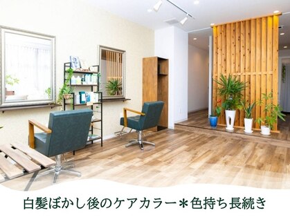 シャイン(Shine)の写真