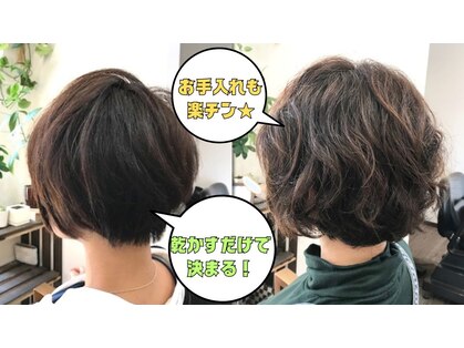 ヘアーディレクションアウラ(Hair Direction Aura)の写真