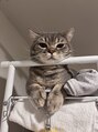 サロン ド ロイ(Salon de Roi)&nbsp;猫飼ってます♪
