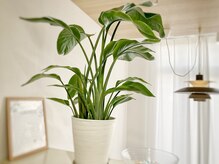 ヘアーココット(hair cocotto)の雰囲気（cocotto）