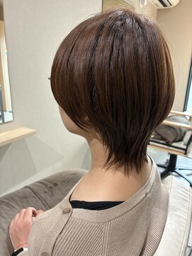 本と南風 guest design