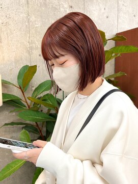 ノエ(noe) アプリコットブラウン×ボブ