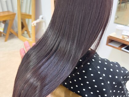 ニュイ(nui.)の写真