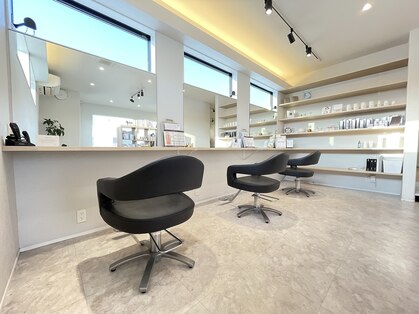 タビー(tabby)の写真