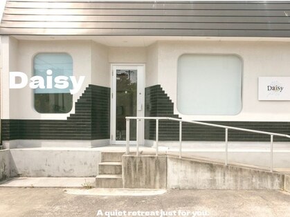デイジー(Daisy)の写真