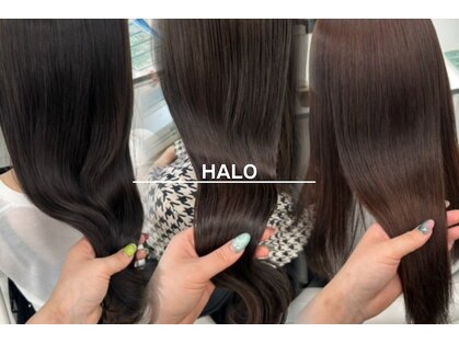ハロ(HALO)の写真