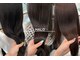 ハロ(HALO)の写真