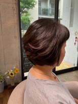 ソルエテラ(sol ea terra)&nbsp;ヘナ2度染め