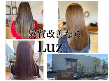 hair doctor luz新成店
