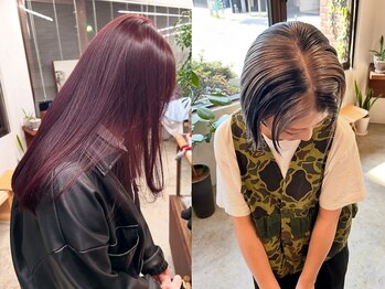 ノーイェス(NOYES)の写真/ダメージレスを追求したカラー剤で、仕上がりも手触りも満足な仕上がりに。あなたに合ったカラーをご提案◎