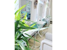 エヌプラス ヘアー(N+ hair)