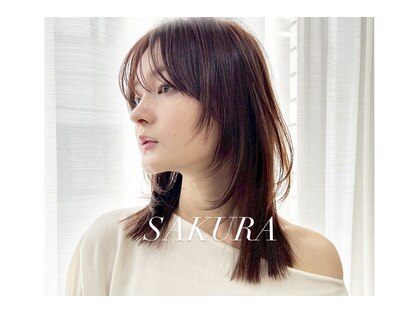 サクラ オモテサンドウ(SAKURA)の写真