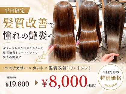 クララ カシハラ(CLALA Kashihara)の写真
