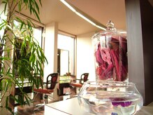 モナリザ(MONALISA)の雰囲気(優しい光が差し込む癒し空間♪髪も心もリラックスできます。)