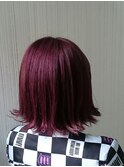 【新宿TOMCAT】春夏ベリーパープルボブ
