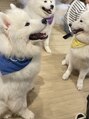 ヘアーメイク ライズ 西田辺店(Hair make rise;)&nbsp;よく動物カフェに癒されにいきます^^