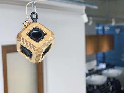 サン(son)の写真