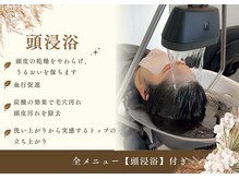 アン(an)の雰囲気(頭皮と髪を一度リセットして、潤い・立ち上がりを整える土台ケア)