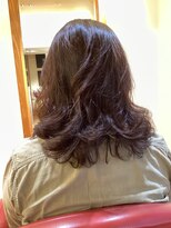 シービスケット SEABISCUIT&nbsp;パーマ