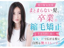 ロアゾブルーミュージアム(L'oiseau Bleu museum)
