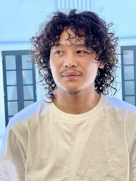 ダッド(DAD) 【Spring Spiral】