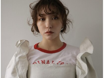 アスター(astar)の写真