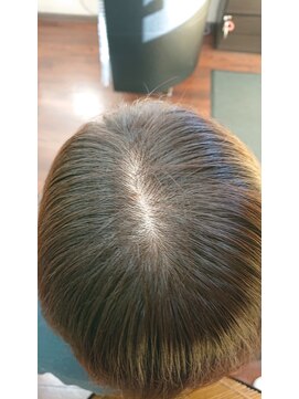 レイディバードカラー ヤオコー足利八幡店 30分のリタッチカラー(根元白髪染め)