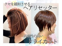 ドルーチェ(Doluce)