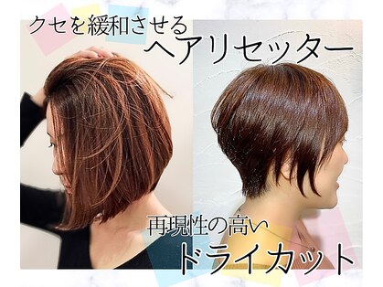 ドルーチェ(Doluce)の写真