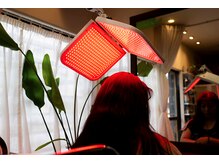 コージーヘア(cozy hair)の雰囲気（【近赤外線LED照射】赤外線の周波数によって細部を活性化させる）