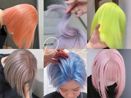 プネル(punel)の写真