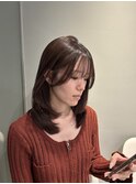 ミディアムレイヤー