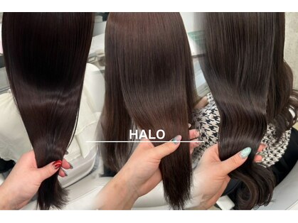 ハロ(HALO)の写真