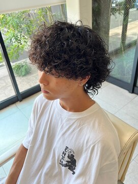 ヘアーアンドエステ ハラダ 滝ノ水店(Hair&Esthe Harada) メンズ/プードルパーマ/スパイラルプードル/ウルフパーマ