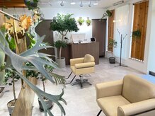 キーズヘアー(keys hair)の雰囲気（観葉植物に囲まれる店内）