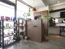 アリビアール(aliviar)の雰囲気（優しい日差しが差し込み木のぬくもりとGreenに囲まれた店内）