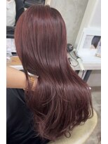 ヘアーアンドケアブラスト(HAIR CARE Blast)&nbsp;Cherry red