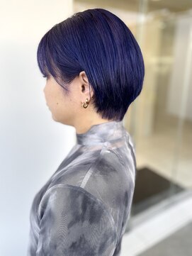 ヒビカ(HIBIKA) ブルーパープル/ブリーチカラー