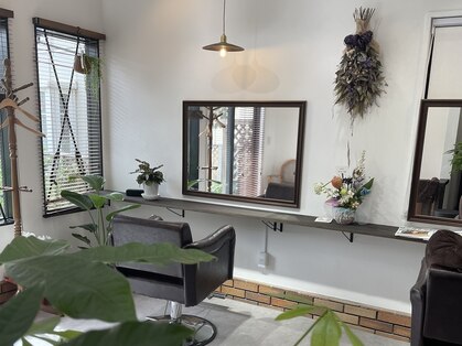 マユ(mayu)の写真