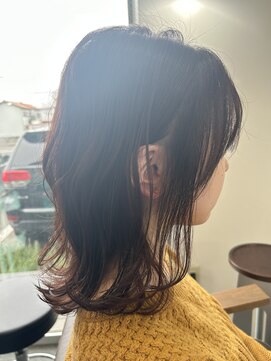 エルパライソ リフォ(Elparaiso Reff) 春カラー