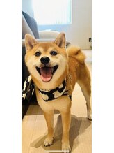 神名美容室 ゴッドドッグ(goddog) タマ 