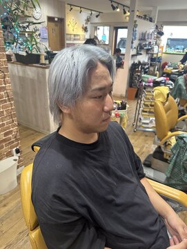 ノーベリー シルバーカラー