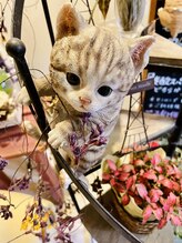 フェイバリット ヘアー プロデュース フィット(Favorite Hair Produce Fit) owner .sub ch