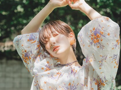 コットン(cotton)の写真