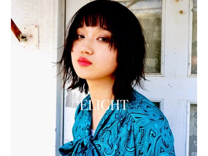 エライトランドマーク(ELIGHT LM)の写真