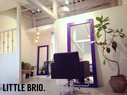 リトルブリオ(LITTLEBRIO.)の写真