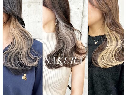 サクラ オモテサンドウ(SAKURA)の写真